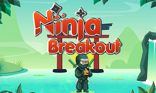 Play Ninja Breakout Free Online
